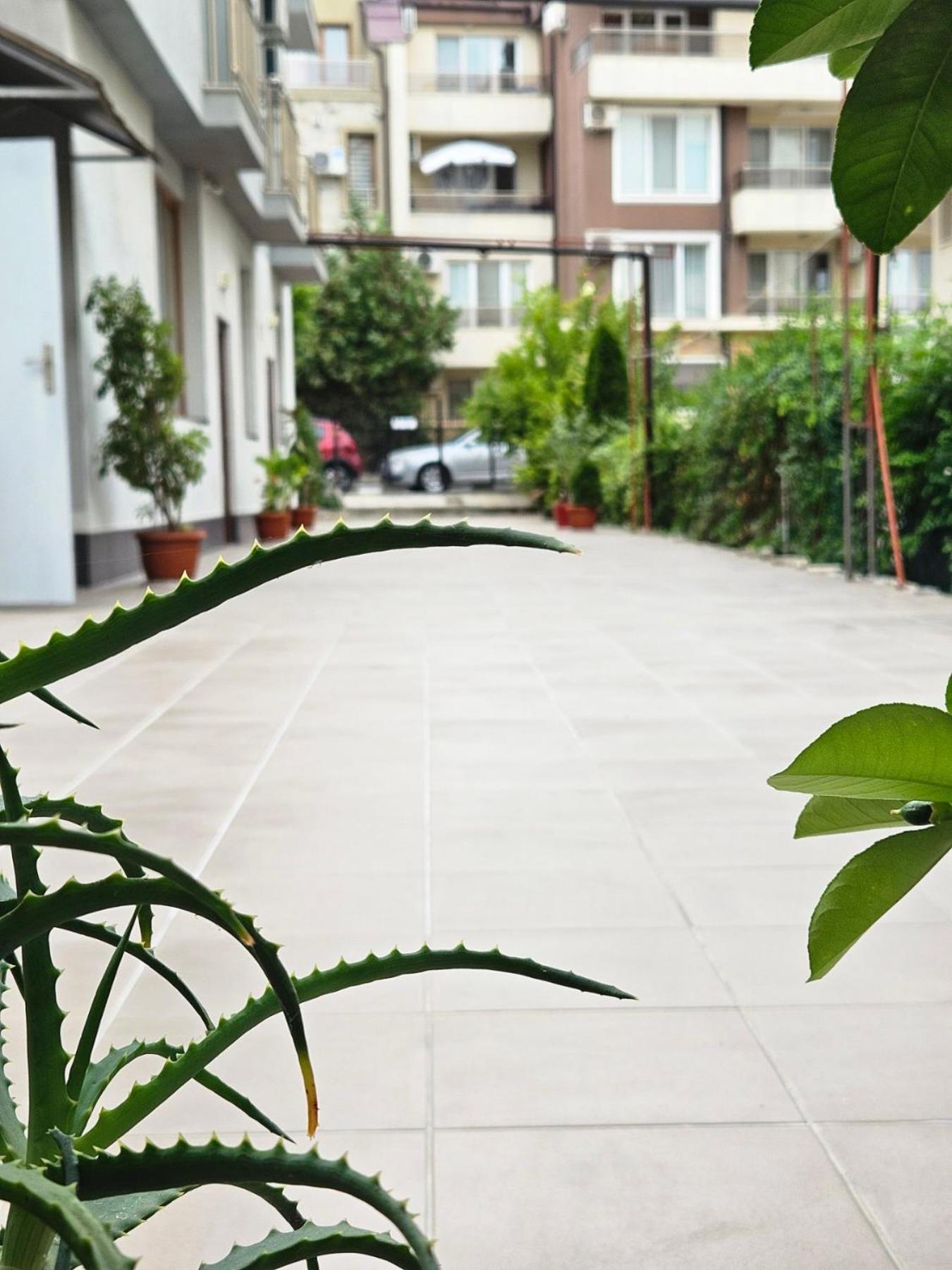 Guest House Petrovi Ravda Ngoại thất bức ảnh